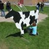 "Milk Cow" at School